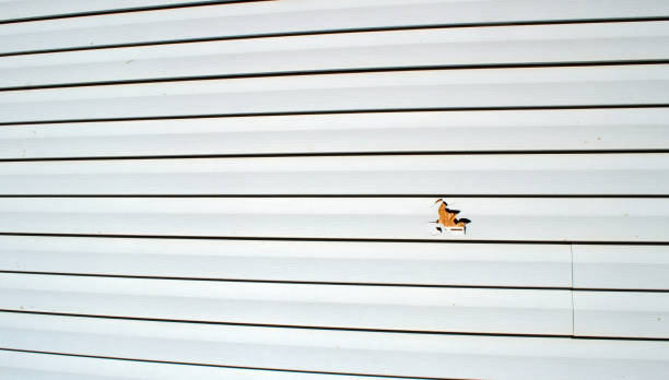 Storm Damage Siding Repair in Arcola, VA